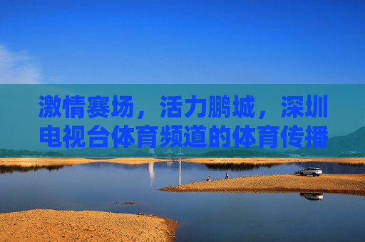 激情赛场，活力鹏城，深圳电视台体育频道的体育传播之路