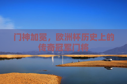 门神加冕，欧洲杯历史上的传奇冠军门将