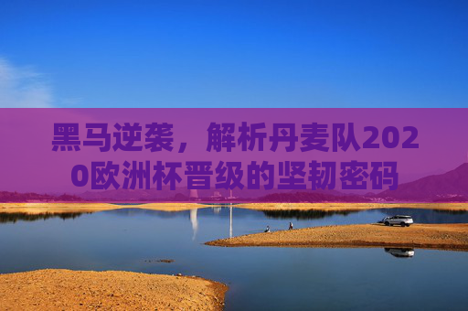 黑马逆袭,解析丹麦队2020欧洲杯晋级的坚韧密码 黑马逆袭,解析丹麦队2020欧洲杯晋级的坚韧密码