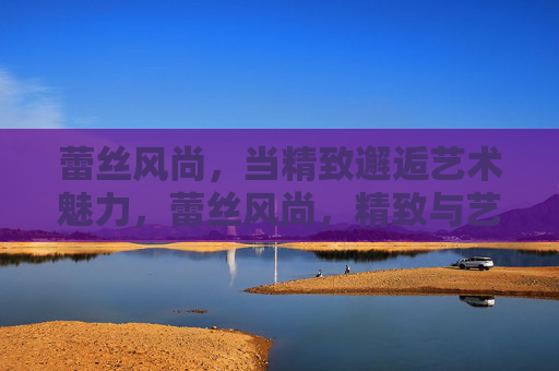 蕾丝风尚,当精致邂逅艺术魅力,蕾丝风尚,精致与艺术的邂逅 蕾丝风尚,当精致邂逅艺术魅力,蕾丝风尚,精致与艺术的邂逅