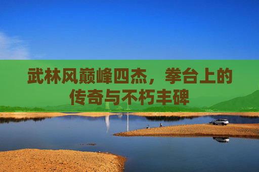武林风巅峰四杰,拳台上的传奇与不朽丰碑 武林风巅峰四杰,拳台上的传奇与不朽丰碑