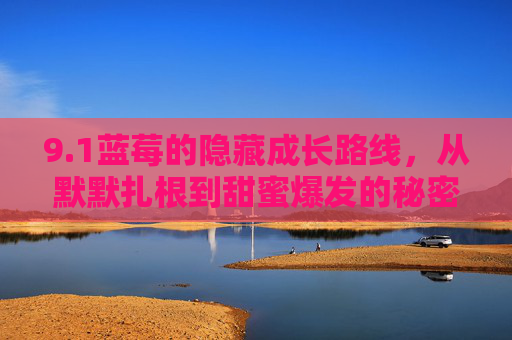 9.1蓝莓的隐藏成长路线,从默默扎根到甜蜜爆发的秘密档案,蓝莓隐秘成长档案,从扎根到甜蜜爆发 9.1蓝莓的隐藏成长路线,从默默扎根到甜蜜爆发的秘密档案,蓝莓隐秘成长档案,从扎根到甜蜜爆发
