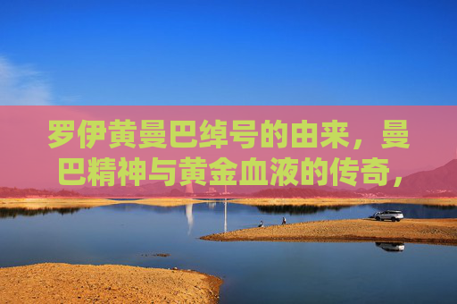 罗伊黄曼巴绰号的由来,曼巴精神与黄金血液的传奇,罗伊黄曼巴,绰号由来、曼巴精神与黄金血液的传奇 罗伊黄曼巴绰号的由来,曼巴精神与黄金血液的传奇,罗伊黄曼巴,绰号由来、曼巴精神与黄金血液的传奇