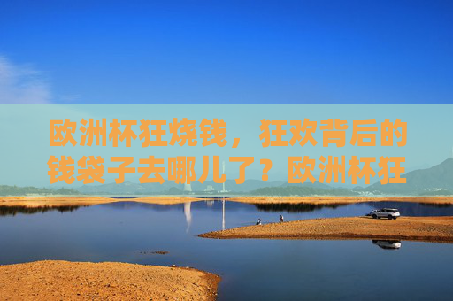欧洲杯狂烧钱,狂欢背后的钱袋子去哪儿了?欧洲杯狂烧钱,狂欢背后的钱袋子去哪儿了? 欧洲杯狂烧钱,狂欢背后的钱袋子去哪儿了?欧洲杯狂烧钱,狂欢背后的钱袋子去哪儿了?