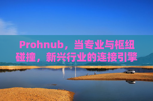 Prohnub,当专业与枢纽碰撞,新兴行业的连接引擎,Prohnub,专业枢纽碰撞,新兴行业连接引擎 Prohnub,当专业与枢纽碰撞,新兴行业的连接引擎,Prohnub,专业枢纽碰撞,新兴行业连接引擎
