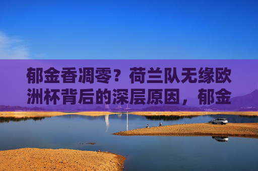 郁金香凋零?荷兰队无缘欧洲杯背后的深层原因,郁金香凋零,荷兰队无缘欧洲杯的深层原因 郁金香凋零?荷兰队无缘欧洲杯背后的深层原因,郁金香凋零,荷兰队无缘欧洲杯的深层原因