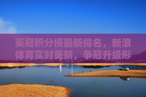 英冠积分榜最新排名，新浪体育实时更新，争冠升级形势解读，英冠积分榜最新排名，新浪体育实时更新 争冠升级形势解读