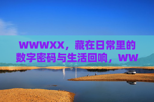 WWWXX，藏在日常里的数字密码与生活回响，WWWXX，藏在日常的数字密码与生活回响