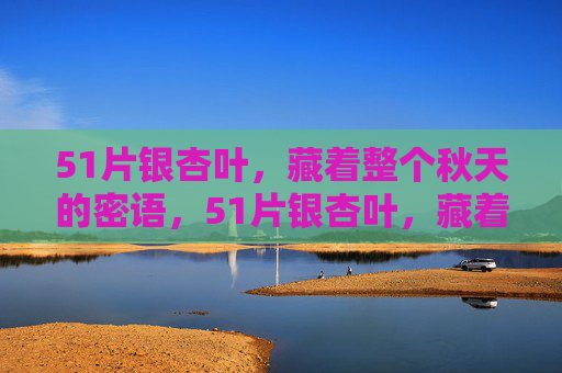 51片银杏叶,藏着整个秋天的密语,51片银杏叶,藏着秋天的密语 51片银杏叶,藏着整个秋天的密语,51片银杏叶,藏着秋天的密语