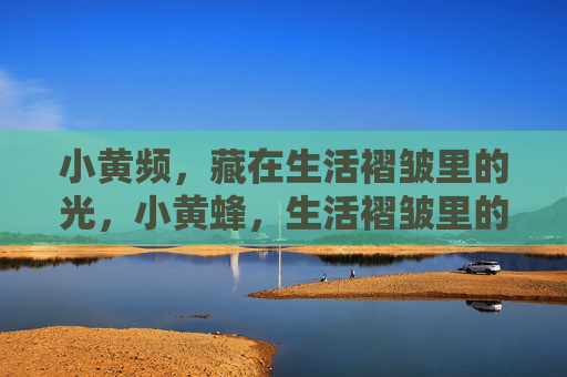 小黄频,藏在生活褶皱里的光,小黄蜂,生活褶皱里的光 小黄频,藏在生活褶皱里的光,小黄蜂,生活褶皱里的光