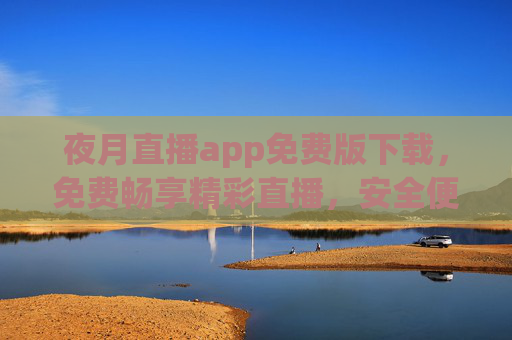 夜月直播app免费版下载，免费畅享精彩直播，安全便捷新体验，夜月直播app免费版下载，免费畅享精彩直播新体验