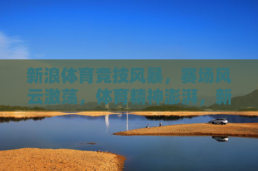 新浪体育竞技风暴，赛场风云激荡，体育精神澎湃，新浪体育竞技风暴，赛场风云激荡，体育精神澎湃