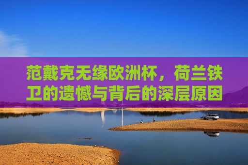 范戴克无缘欧洲杯，荷兰铁卫的遗憾与背后的深层原因，范戴克无缘欧洲杯，荷兰铁卫的遗憾与深层原因