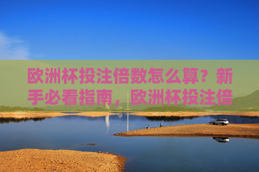 欧洲杯投注倍数怎么算?新手必看指南,欧洲杯投注倍数计算新手指南 欧洲杯投注倍数怎么算?新手必看指南,欧洲杯投注倍数计算新手指南