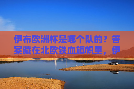 伊布欧洲杯是哪个队的？答案藏在北欧铁血旗帜里，伊布欧洲杯队伍，北欧铁血旗帜的答案
