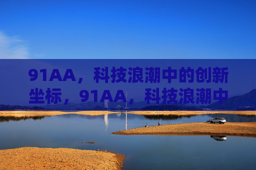 91AA，科技浪潮中的创新坐标，91AA，科技浪潮中的创新坐标