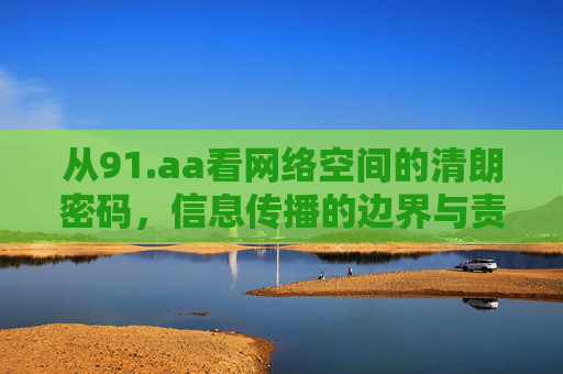 从91.aa看网络空间的清朗密码，信息传播的边界与责任，从91.aa看网络空间清朗密码，信息传播的边界与责任