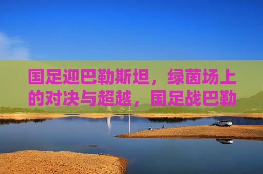 国足迎巴勒斯坦,绿茵场上的对决与超越,国足战巴勒斯坦,绿茵对决与超越 国足迎巴勒斯坦,绿茵场上的对决与超越,国足战巴勒斯坦,绿茵对决与超越