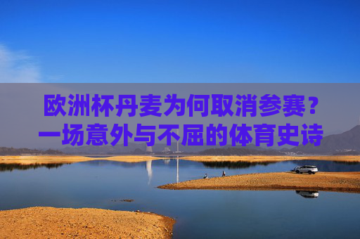 欧洲杯丹麦为何取消参赛？一场意外与不屈的体育史诗，欧洲杯丹麦退赛，意外铸就的不屈史诗