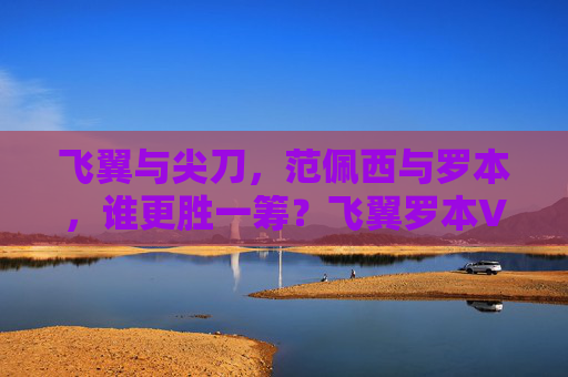 飞翼与尖刀,范佩西与罗本,谁更胜一筹?飞翼罗本VS尖刀范佩西,谁更胜一筹? 飞翼与尖刀,范佩西与罗本,谁更胜一筹?飞翼罗本VS尖刀范佩西,谁更胜一筹?