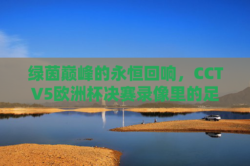 绿茵巅峰的永恒回响,CCTV5欧洲杯决赛录像里的足球史诗,CCTV5欧洲杯决赛录像,绿茵巅峰的足球史诗 绿茵巅峰的永恒回响,CCTV5欧洲杯决赛录像里的足球史诗,CCTV5欧洲杯决赛录像,绿茵巅峰的足球史诗