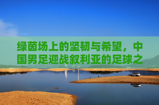 绿茵场上的坚韧与希望,中国男足迎战叙利亚的足球之约,中国男足迎战叙利亚,坚韧与希望的足球之约 绿茵场上的坚韧与希望,中国男足迎战叙利亚的足球之约,中国男足迎战叙利亚,坚韧与希望的足球之约