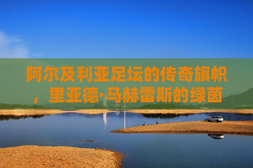 阿尔及利亚足坛的传奇旗帜，里亚德·马赫雷斯的绿茵征程，阿尔及利亚传奇旗帜马赫雷斯的绿茵征程