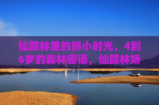 仙踪林里的娇小时光,4到6岁的森林密语,仙踪林娇小时光,4-6岁的森林密语 仙踪林里的娇小时光,4到6岁的森林密语,仙踪林娇小时光,4-6岁的森林密语