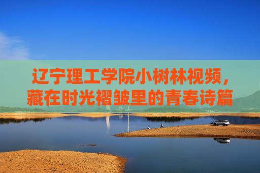 辽宁理工学院小树林视频，藏在时光褶皱里的青春诗篇，辽宁理工学院小树林，藏在时光褶皱里的青春诗篇