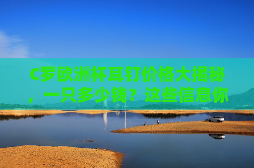 C罗欧洲杯耳钉价格大揭秘，一只多少钱？这些信息你需要知道！C罗欧洲杯耳钉价格大揭秘，一只多少钱？