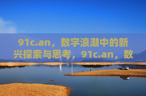 91c.an，数字浪潮中的新兴探索与思考，91c.an，数字浪潮中的新兴探索与思考