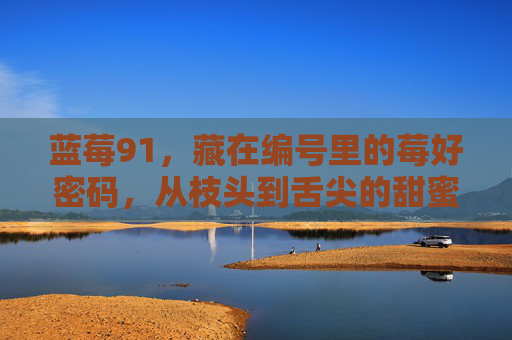 蓝莓91,藏在编号里的莓好密码,从枝头到舌尖的甜蜜之旅,蓝莓91,藏在编号里的莓好密码之旅 蓝莓91,藏在编号里的莓好密码,从枝头到舌尖的甜蜜之旅,蓝莓91,藏在编号里的莓好密码之旅