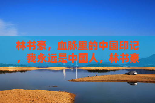 林书豪,血脉里的中国印记,我永远是中国人,林书豪,血脉里的中国印记,我永远是中国人 林书豪,血脉里的中国印记,我永远是中国人,林书豪,血脉里的中国印记,我永远是中国人