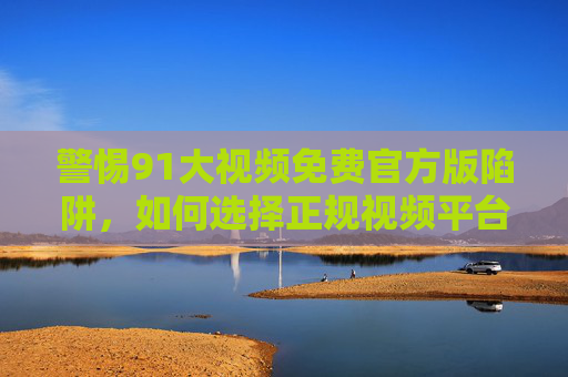 警惕91大视频免费官方版陷阱，如何选择正规视频平台，守护安全与权益，警惕91大视频免费官方版陷阱，选择正规平台守护安全权益
