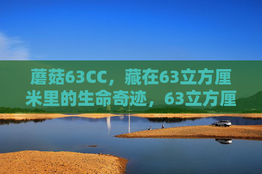 蘑菇63CC,藏在63立方厘米里的生命奇迹,63立方厘米里的蘑菇生命奇迹 蘑菇63CC,藏在63立方厘米里的生命奇迹,63立方厘米里的蘑菇生命奇迹
