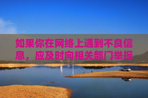 如果你在网络上遇到不良信息，应及时向相关部门举报，共同维护良好的网络秩序。让我们携手共建文明、健康、安全的网络空间，为社会的和谐发展贡献力量，举报不良信息 共建清朗网络