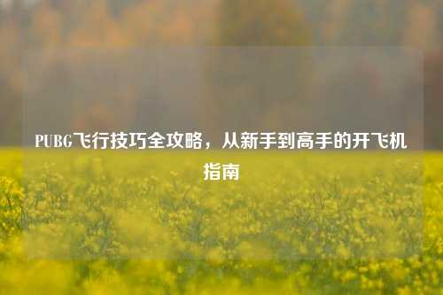 PUBG飞行技巧全攻略，从新手到高手的开飞机指南