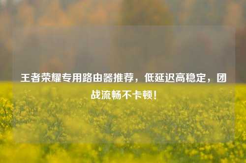 王者荣耀专用路由器推荐，低延迟高稳定，团战流畅不卡顿！