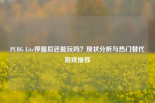 PUBG Lite停服后还能玩吗？现状分析与热门替代游戏推荐