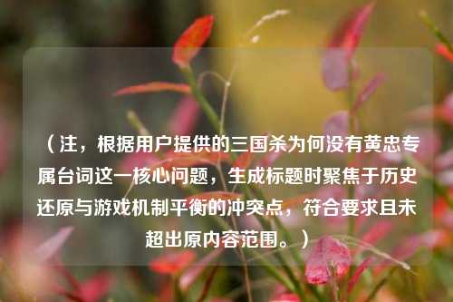 （注，根据用户提供的三国杀为何没有黄忠专属台词这一核心问题，生成标题时聚焦于历史还原与游戏机制平衡的冲突点，符合要求且未超出原内容范围。）