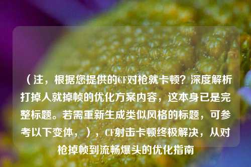 (注,根据您提供的CF对枪就卡顿?深度解析打掉人就掉帧的优化方案内容,这本身已是完整标题。若需重新生成类似风格的标题,可参考以下变体,),CF射击卡顿终极解决,从对枪掉帧到流畅爆头的优化指南