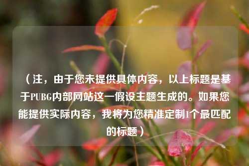 (注,由于您未提供具体内容,以上标题是基于PUBG内部网站这一假设主题生成的。如果您能提供实际内容,我将为您精准定制1个最匹配的标题)