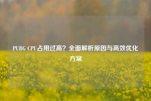 PUBG CPU占用过高？全面解析原因与高效优化方案