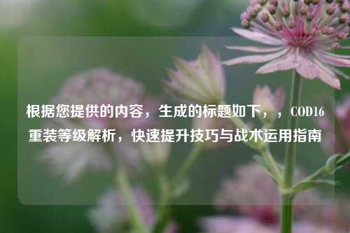 根据您提供的内容，生成的标题如下，，COD16重装等级解析，快速提升技巧与战术运用指南