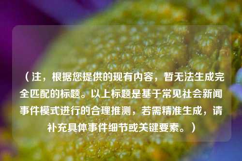 (注,根据您提供的现有内容,暂无法生成完全匹配的标题。以上标题是基于常见社会新闻事件模式进行的合理推测,若需精准生成,请补充具体事件细节或关键要素。)