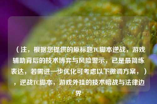 (注,根据您提供的原标题TC脚本逆战,游戏辅助背后的技术博弈与风险警示,已是最简练表达,若需进一步优化可考虑以下微调方案,),逆战TC脚本,游戏外挂的技术暗战与法律边界