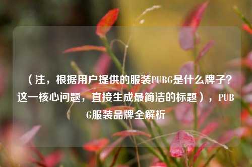（注，根据用户提供的服装PUBG是什么牌子？这一核心问题，直接生成最简洁的标题），PUBG服装品牌全解析