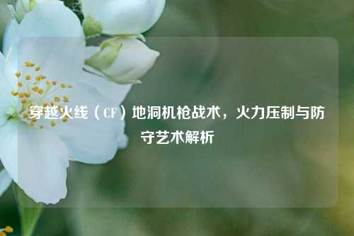 穿越火线（CF）地洞机枪战术，火力压制与防守艺术解析