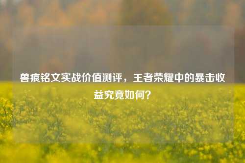 兽痕铭文实战价值测评，王者荣耀中的暴击收益究竟如何？