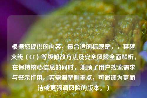 根据您提供的内容,最合适的标题是,,穿越火线(CF)等级修改 *** 及安全风险全面解析,在保持核心信息的同时,兼顾了用户搜索需求与警示作用。若需调整侧重点,可微调为更简洁或更强调风险的版本。)